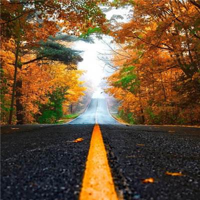 澳门王中王100%的资料下载手机版